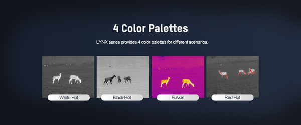 Color Palettes_LYNX
