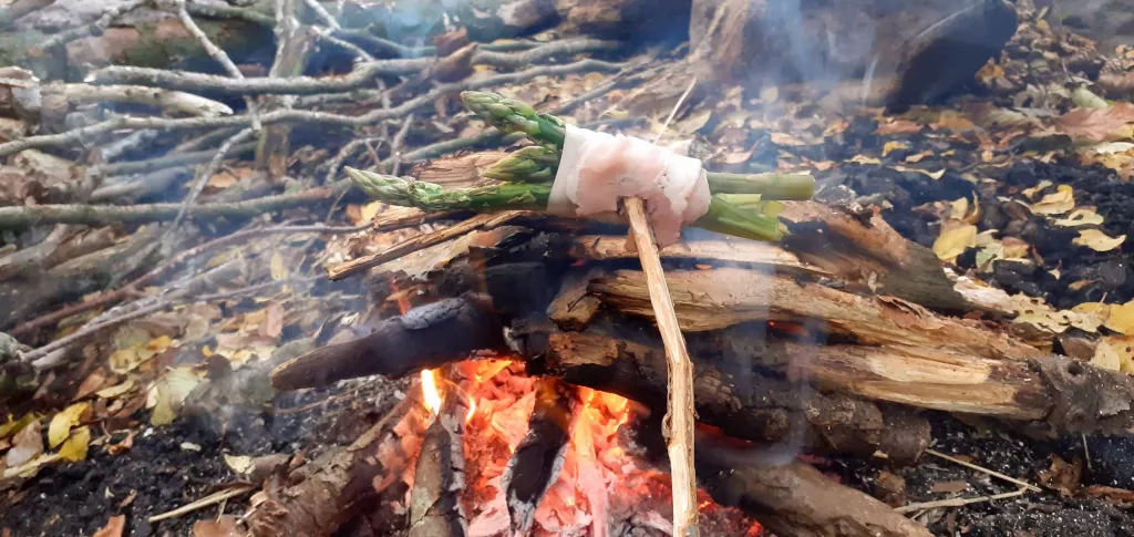 Asparges med skinke tilberedes på et spyd over bål