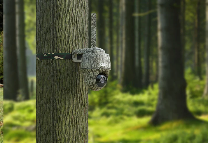 Camouflagefarvet vildtkamera spændt fast på en træstamme i en grøn skov