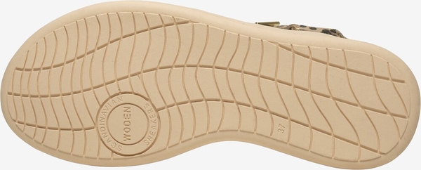 WL932 - 327 Leopard - Extra 6
