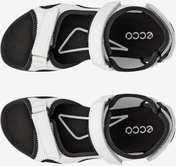 221203-01007-top_left_pair_eCom