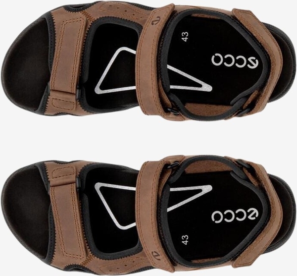 532304-02482-top_left_pair_eCom
