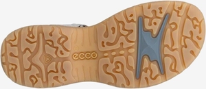 853303-61244-s_eCom