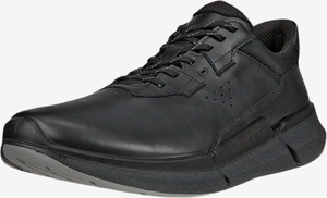 BIOM 2.2 Lea