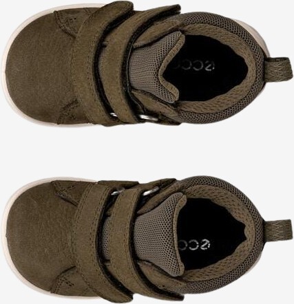 724231-55894-top_left_pair_eCom