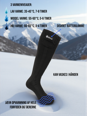 Pegasus infografics 1