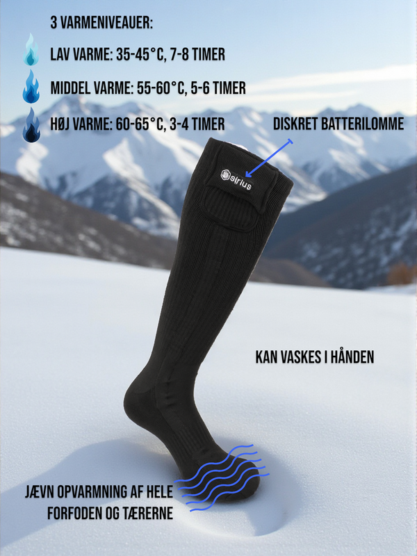 Pegasus infografics 1