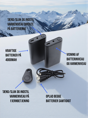 Pegasus infografics 2ny