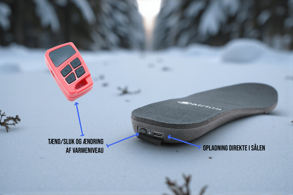 Taurus infografics 3