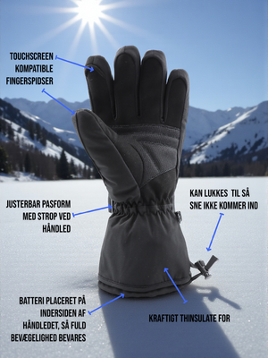 Casiopeia infografics 2