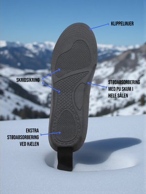 Taurus infografics 2
