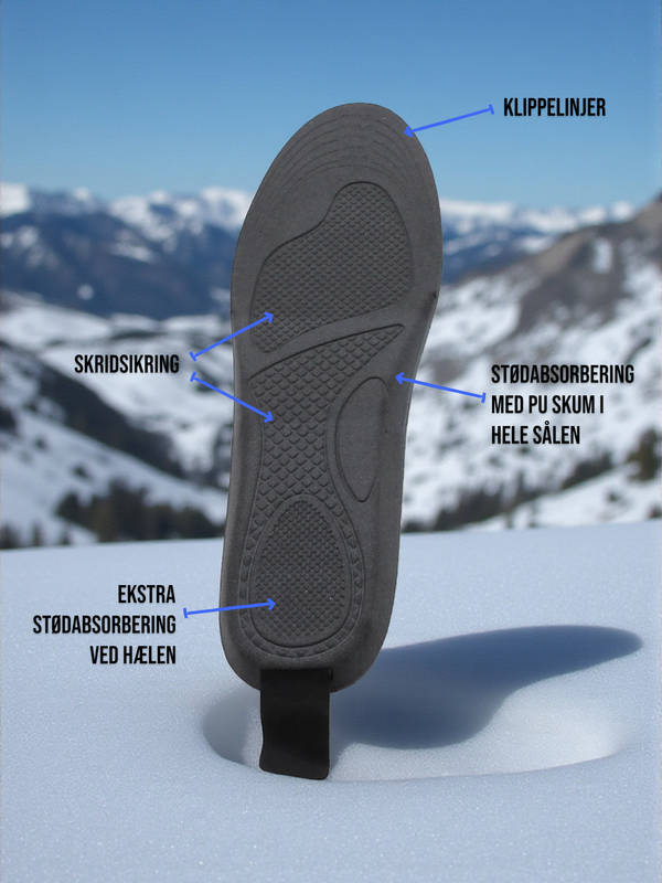 Taurus infografics 2