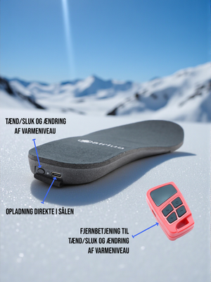 Taurus infografics 3