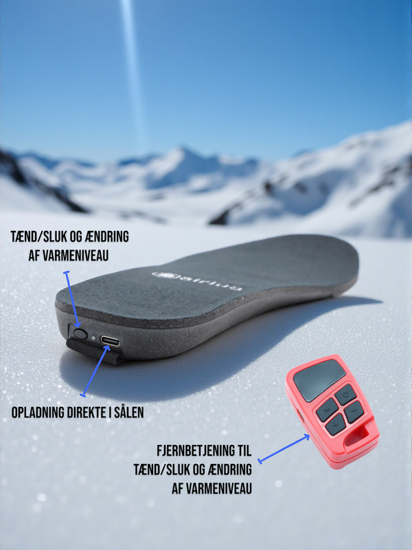 Taurus infografics 3