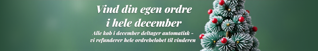 julegave-2025-desktop