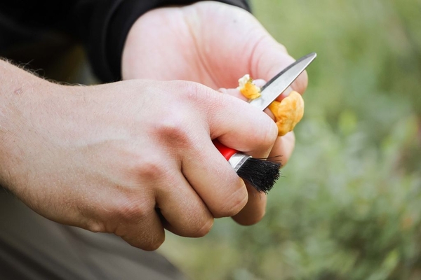 karl-johan_mushroom_knife_s_red_pe01_12206_afa1ec46809c37ac4b68260b653e476c