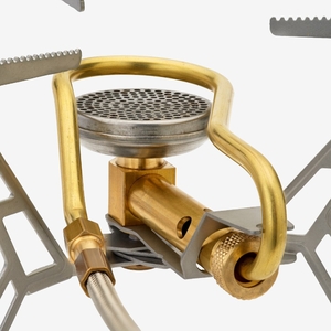 p328485_express_spider_3