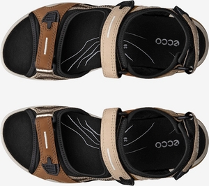 069563-52043-top_left_pair_eCom