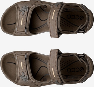 069564-12559-top_left_pair_eCom