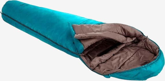 141511894-279886480-11453-org