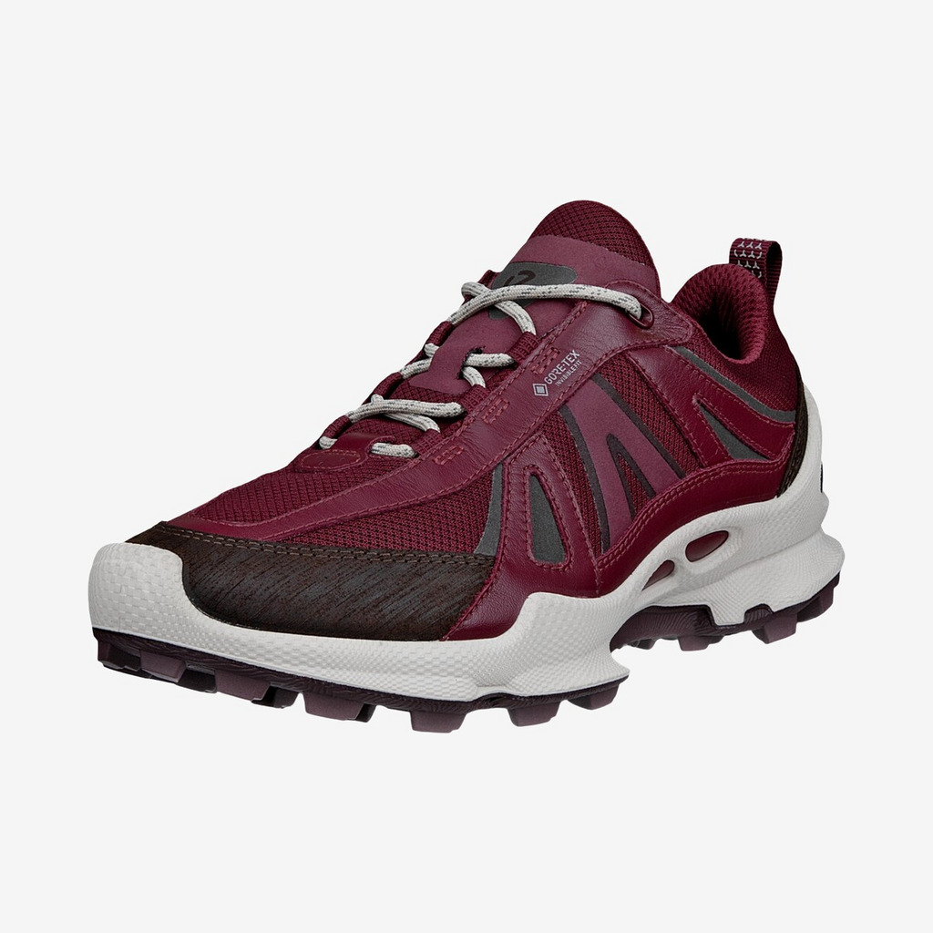 ECCO - BIOM Gore-Tex Trail Women's sko (Lilla) - 36