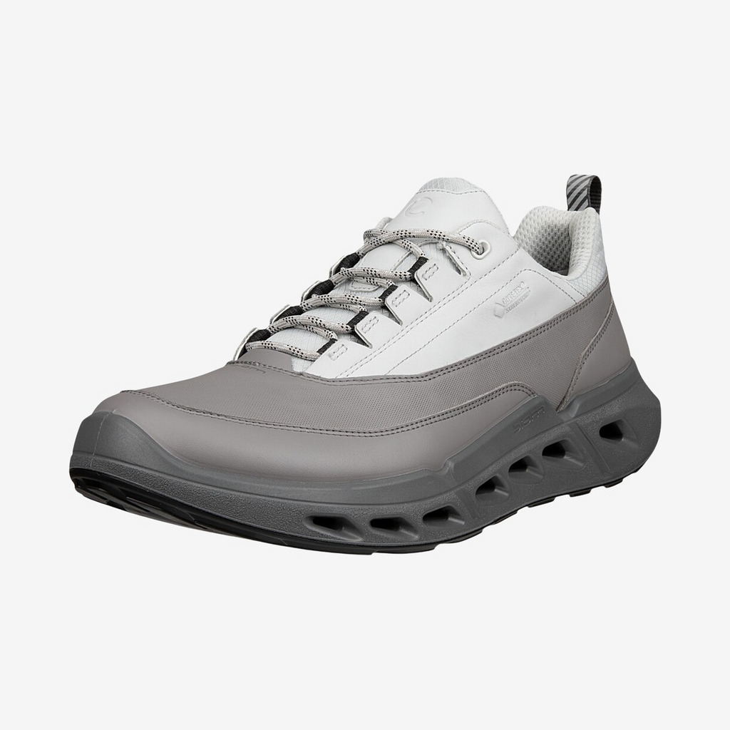 ECCO Biom 720 Low GTX Leather Herre / Mænd, concrete-41 - Hverdagssko
