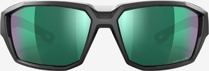 Alpine_GM_FV