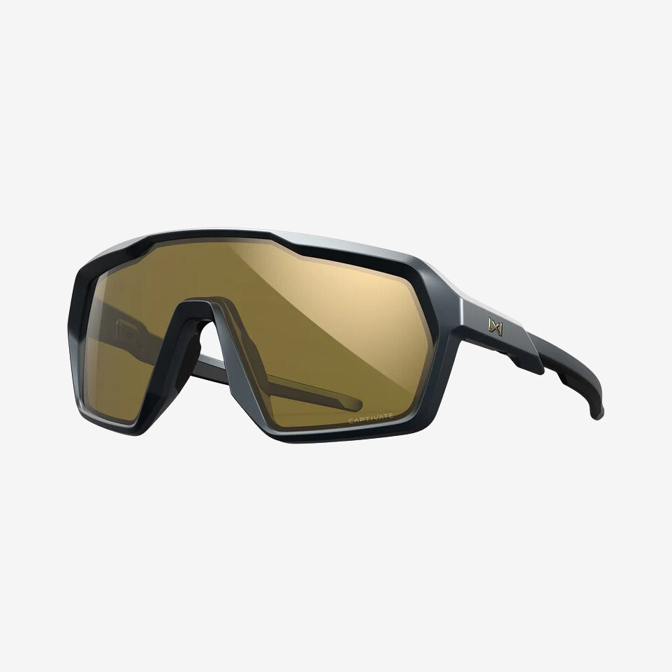 Wiley X - Citadel solbriller (Grey)
