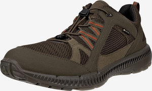 Terracruise II Gore-Tex vandresko til herrer