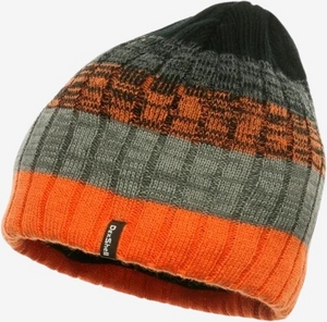 Beanie Gradient hue