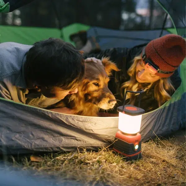 Camp_Lantern_Recharge_family_in_tent_with_dog