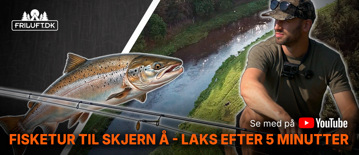 Fisketur laks skjern å