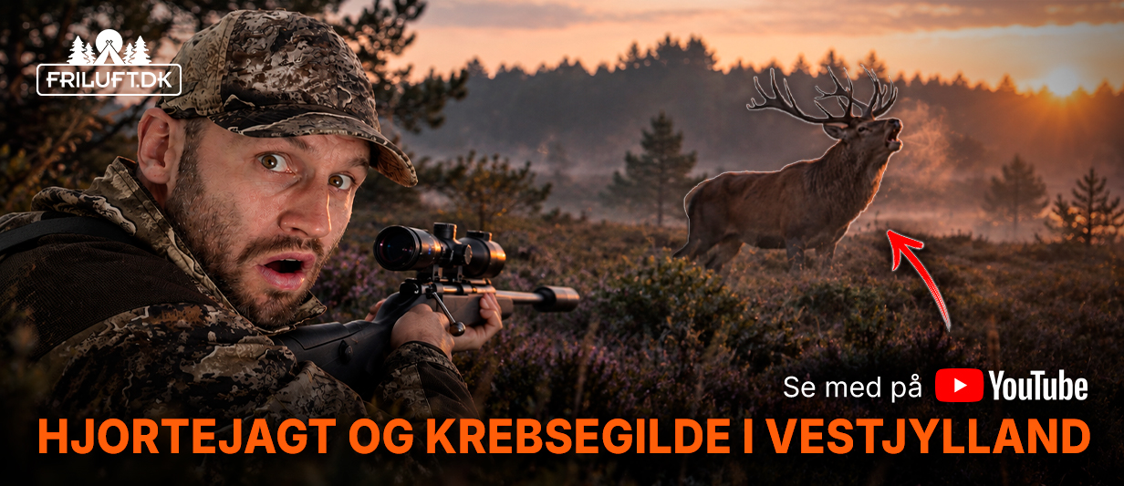 FriluftTV-Thumbnail, Hjortejagt og krebsegilde