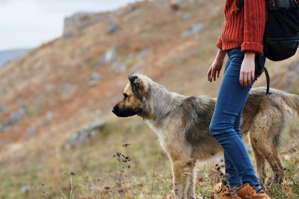 En kvinde med rygsæk er ude at vandre med sin hund i et bakket eller bjergrigt område